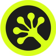 Geckos Games